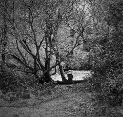 Resting by the Liffey
