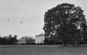 Castletown House and Gardens