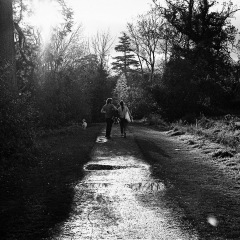 Evening Stroll