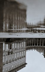 Castletown House Reflections
