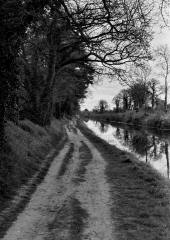 Royal Canal Towpath