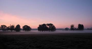 Castletown Parklands at Dawn. Photo by Daniel Kane Photography.