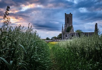 Path to Ballynafagh Church. Photo by Daniel Kane Photography.
