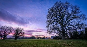 Castletown Parklands at Sunset