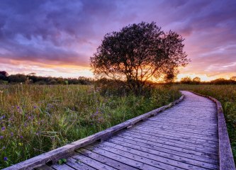 Sunset at Pollardstown Fen, Kildare. Photo by Daniel Kane Photography.